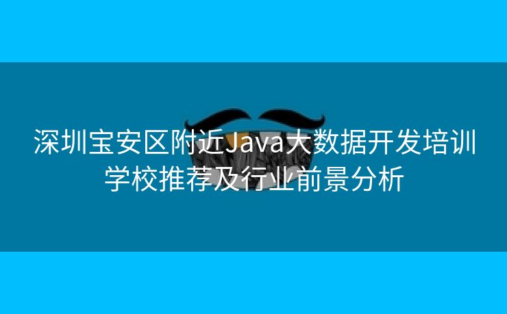 深圳宝安区附近Java大数据开发培训学校推荐及行业前景分析