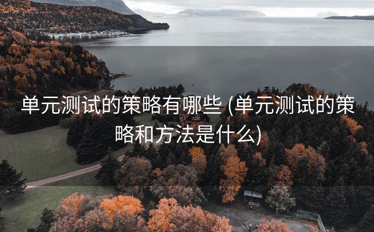 单元测试的策略有哪些 (单元测试的策略和方法是什么)