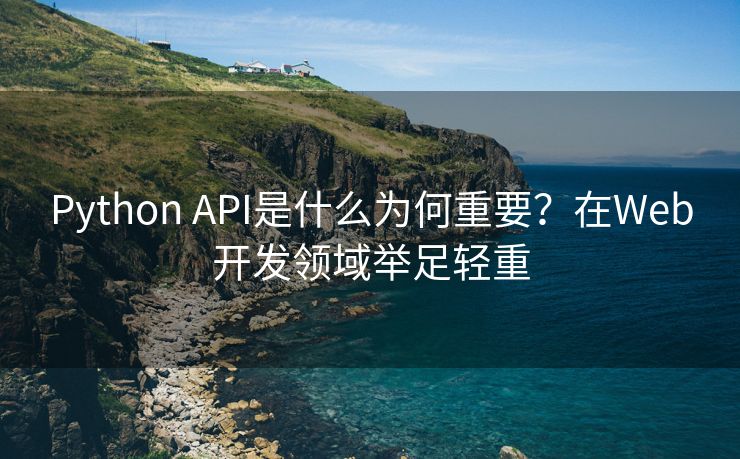 Python API是什么为何重要？在Web开发领域举足轻重