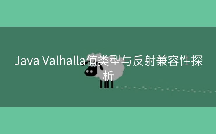 Java Valhalla值类型与反射兼容性探析