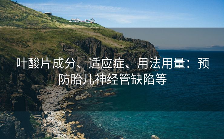 叶酸片成分、适应症、用法用量：预防胎儿神经管缺陷等