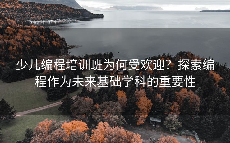 少儿编程培训班为何受欢迎？探索编程作为未来基础学科的重要性