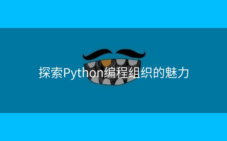 探索Python编程组织的魅力