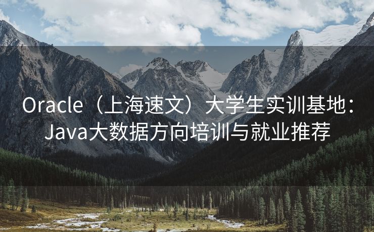 Oracle（上海速文）大学生实训基地：Java大数据方向培训与就业推荐