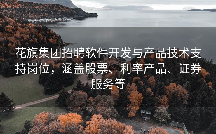 花旗集团招聘软件开发与产品技术支持岗位，涵盖股票、利率产品、证券服务等