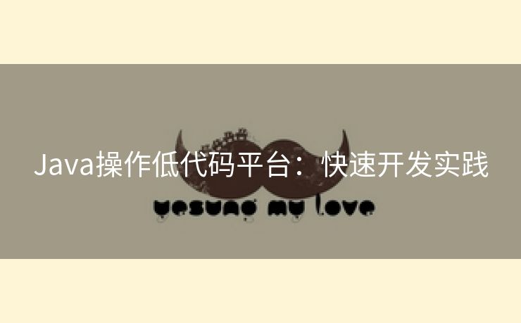 Java操作低代码平台：快速开发实践