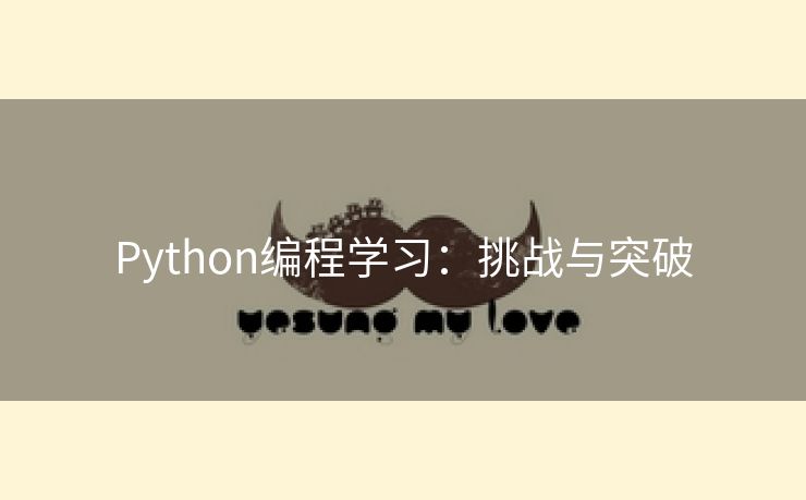 Python编程学习：挑战与突破