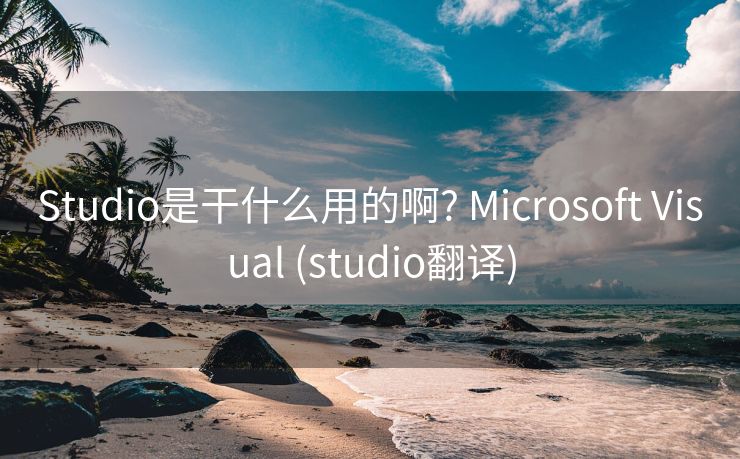 Studio是干什么用的啊? Microsoft Visual (studio翻译)