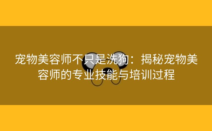 宠物美容师不只是洗狗：揭秘宠物美容师的专业技能与培训过程