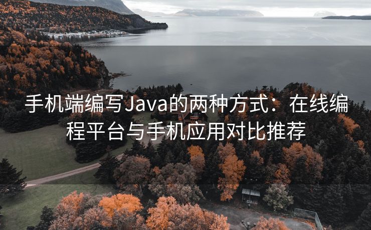 手机端编写Java的两种方式：在线编程平台与手机应用对比推荐