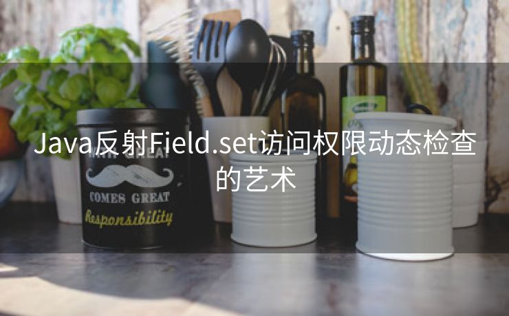 Java反射Field.set访问权限动态检查的艺术