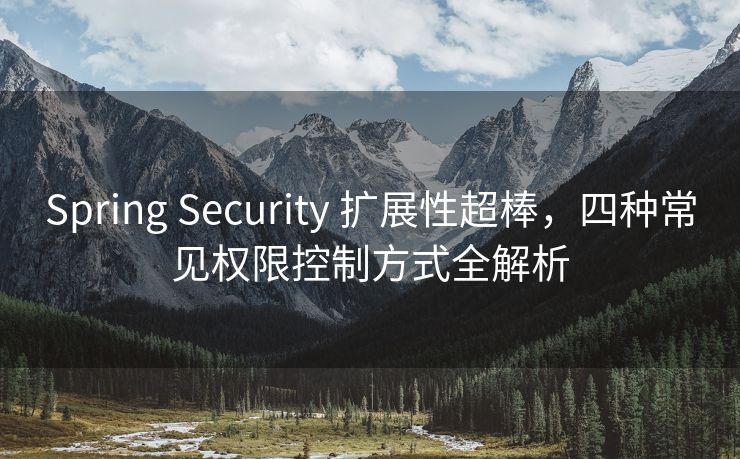 Spring Security 扩展性超棒，四种常见权限控制方式全解析