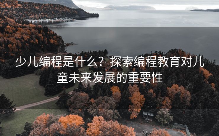 少儿编程是什么？探索编程教育对儿童未来发展的重要性