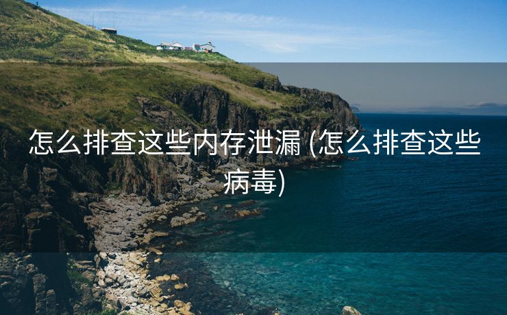 怎么排查这些内存泄漏 (怎么排查这些病毒)