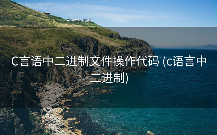 C言语中二进制文件操作代码 (c语言中二进制)