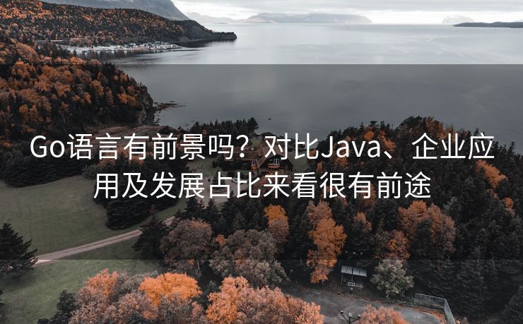 Go语言有前景吗？对比Java、企业应用及发展占比来看很有前途