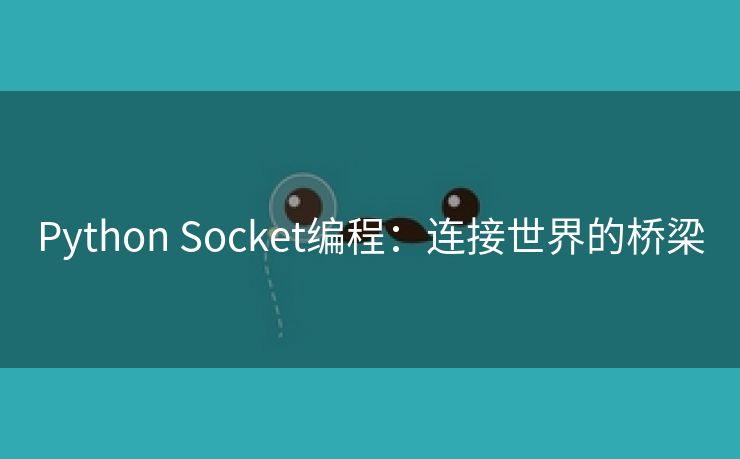 Python Socket编程:连接世界的桥梁 Python Socket编程:连接世界的桥梁