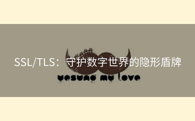 SSL/TLS：守护数字世界的隐形盾牌