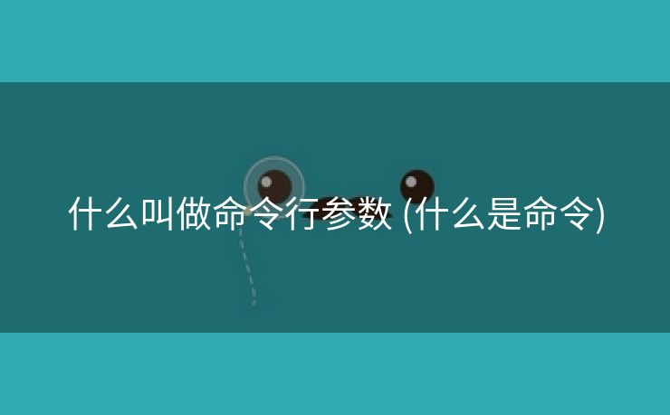 什么叫做命令行参数 (什么是命令)