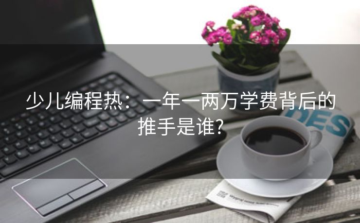 少儿编程热：一年一两万学费背后的推手是谁?