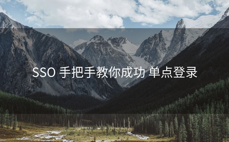 SSO 手把手教你成功 单点登录