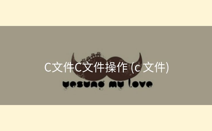 C文件C文件操作 (c 文件)