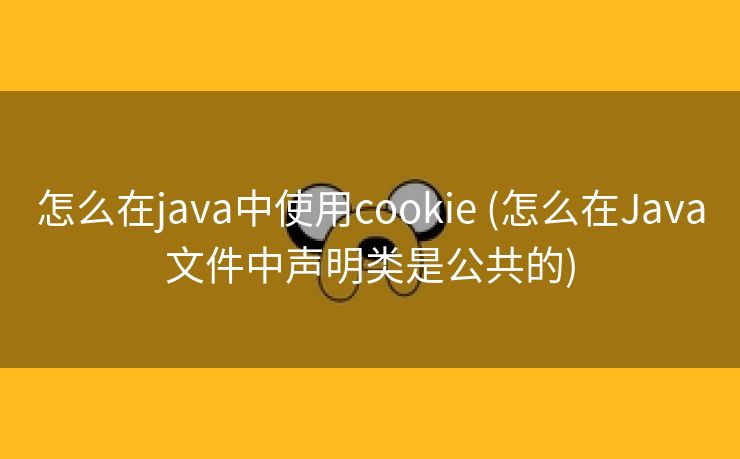 怎么在java中使用cookie (怎么在Java文件中声明类是公共的)