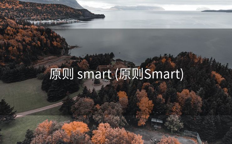 原则 smart (原则Smart)