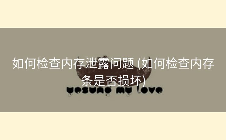 如何检查内存泄露问题 (如何检查内存条是否损坏)