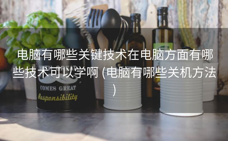 电脑有哪些关键技术在电脑方面有哪些技术可以学啊 (电脑有哪些关机方法)