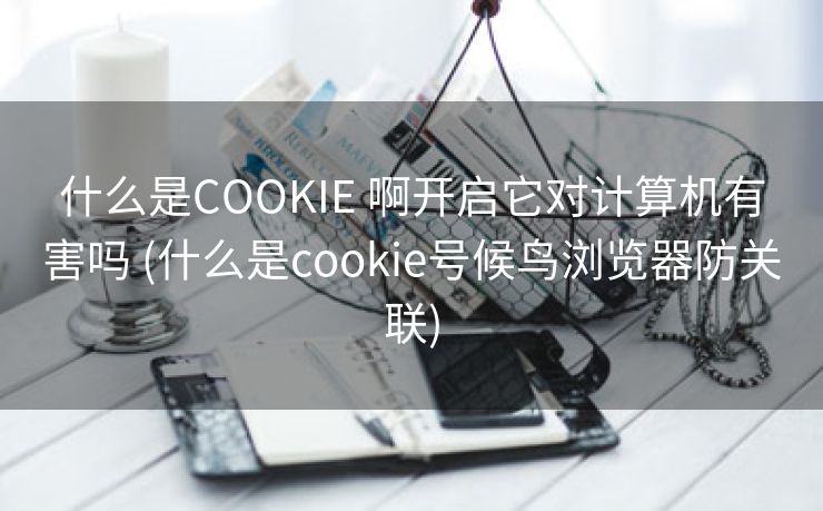 什么是COOKIE 啊开启它对计算机有害吗 (什么是cookie号候鸟浏览器防关联)