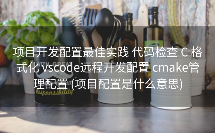 项目开发配置最佳实践 代码检查 C 格式化 vscode远程开发配置 cmake管理配置 (项目配置是什么意思)