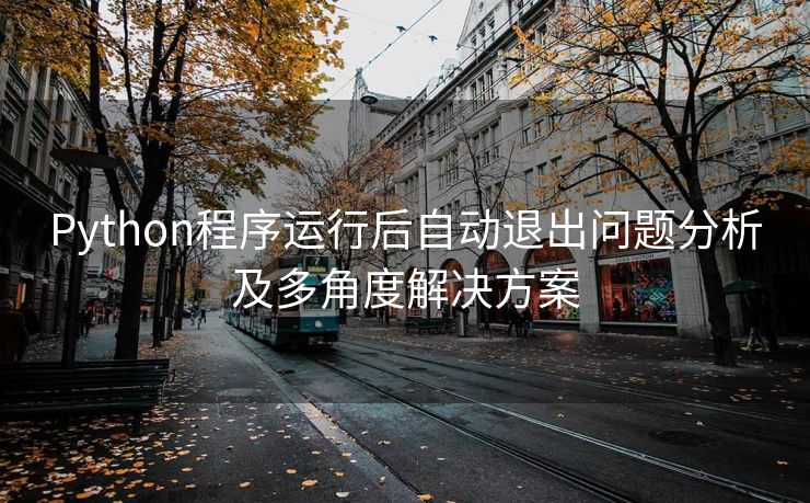 Python程序运行后自动退出问题分析及多角度解决方案