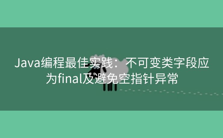Java编程最佳实践：不可变类字段应为final及避免空指针异常