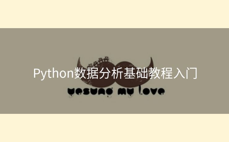 Python数据分析基础教程入门 Python数据分析基础教程入门