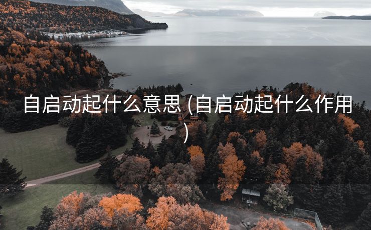 自启动起什么意思 (自启动起什么作用)