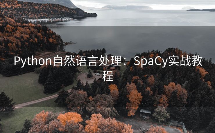 Python自然语言处理：SpaCy实战教程