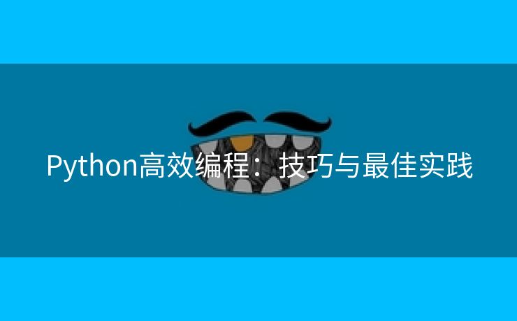 Python高效编程：技巧与最佳实践