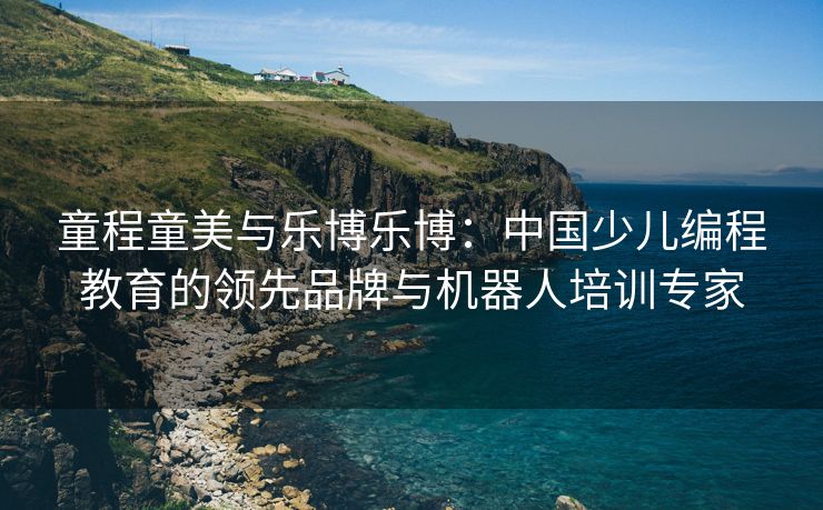童程童美与乐博乐博：中国少儿编程教育的领先品牌与机器人培训专家