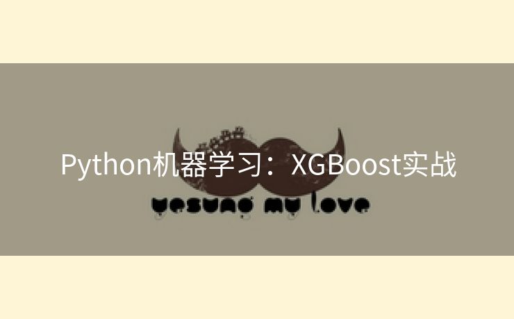 Python机器学习：XGBoost实战