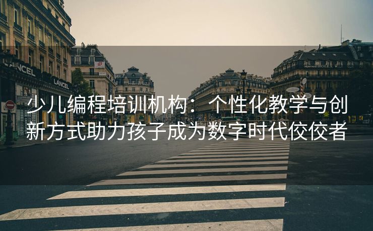 少儿编程培训机构：个性化教学与创新方式助力孩子成为数字时代佼佼者