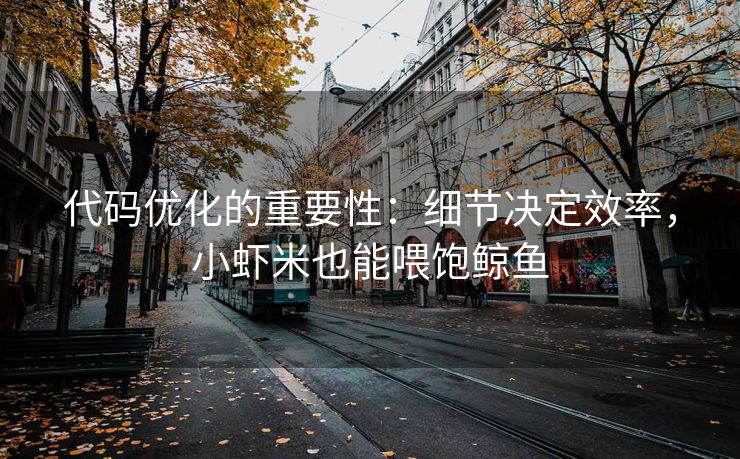 代码优化的重要性：细节决定效率，小虾米也能喂饱鲸鱼