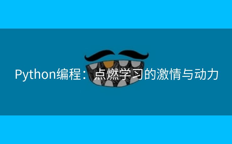 Python编程：点燃学习的激情与动力