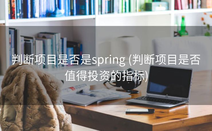 判断项目是否是spring (判断项目是否值得投资的指标)