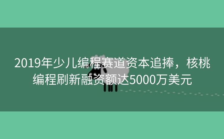 2019年少儿编程赛道资本追捧，核桃编程刷新融资额达5000万美元