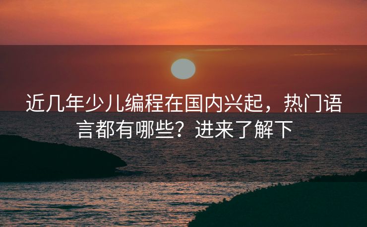近几年少儿编程在国内兴起，热门语言都有哪些？进来了解下