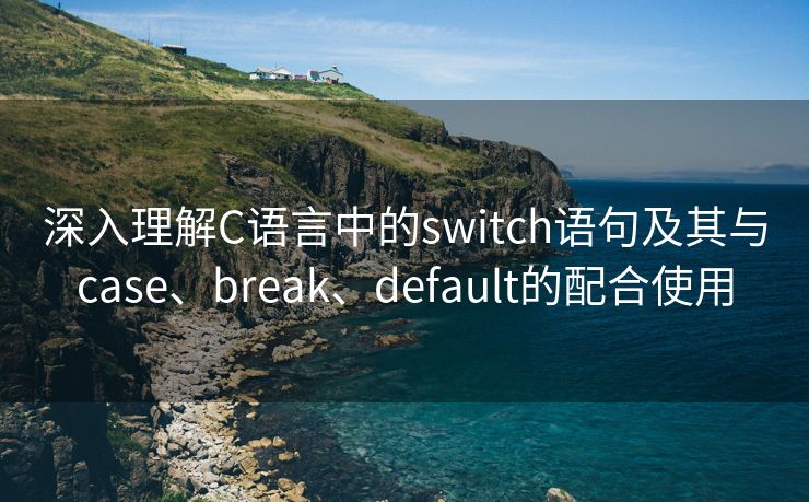 深入理解C语言中的switch语句及其与case、break、default的配合使用