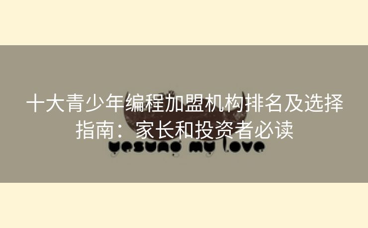 十大青少年编程加盟机构排名及选择指南：家长和投资者必读