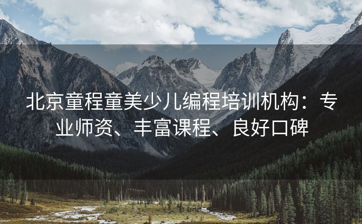 北京童程童美少儿编程培训机构：专业师资、丰富课程、良好口碑
