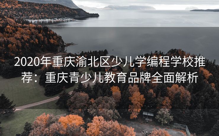 2020年重庆渝北区少儿学编程学校推荐：重庆青少儿教育品牌全面解析